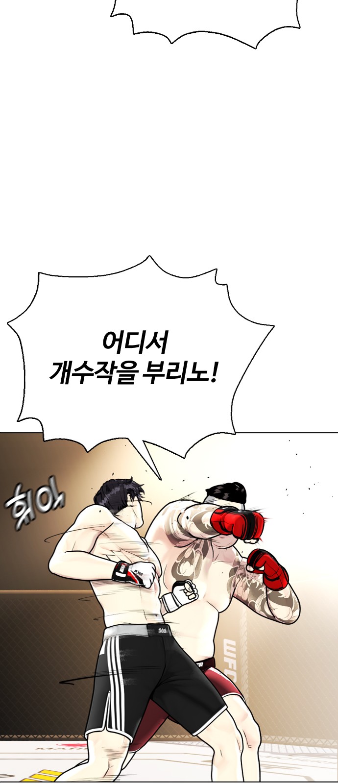 33 페이지