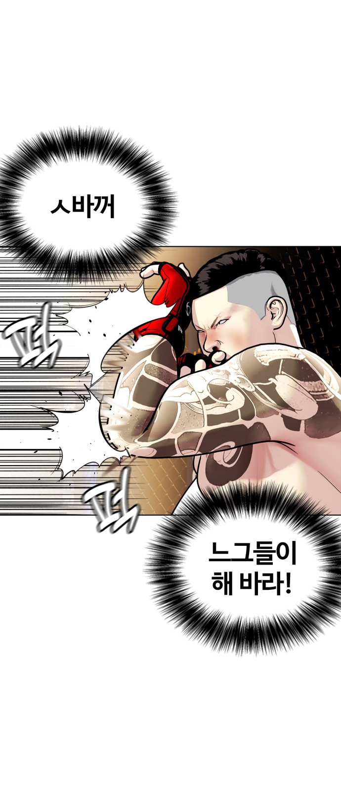 60 페이지