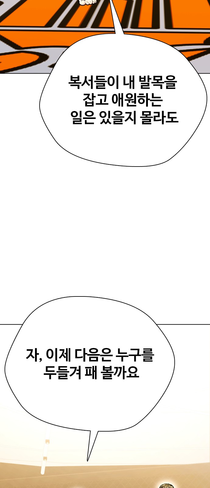 113 페이지