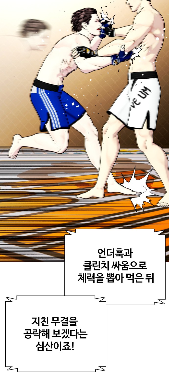 25 페이지