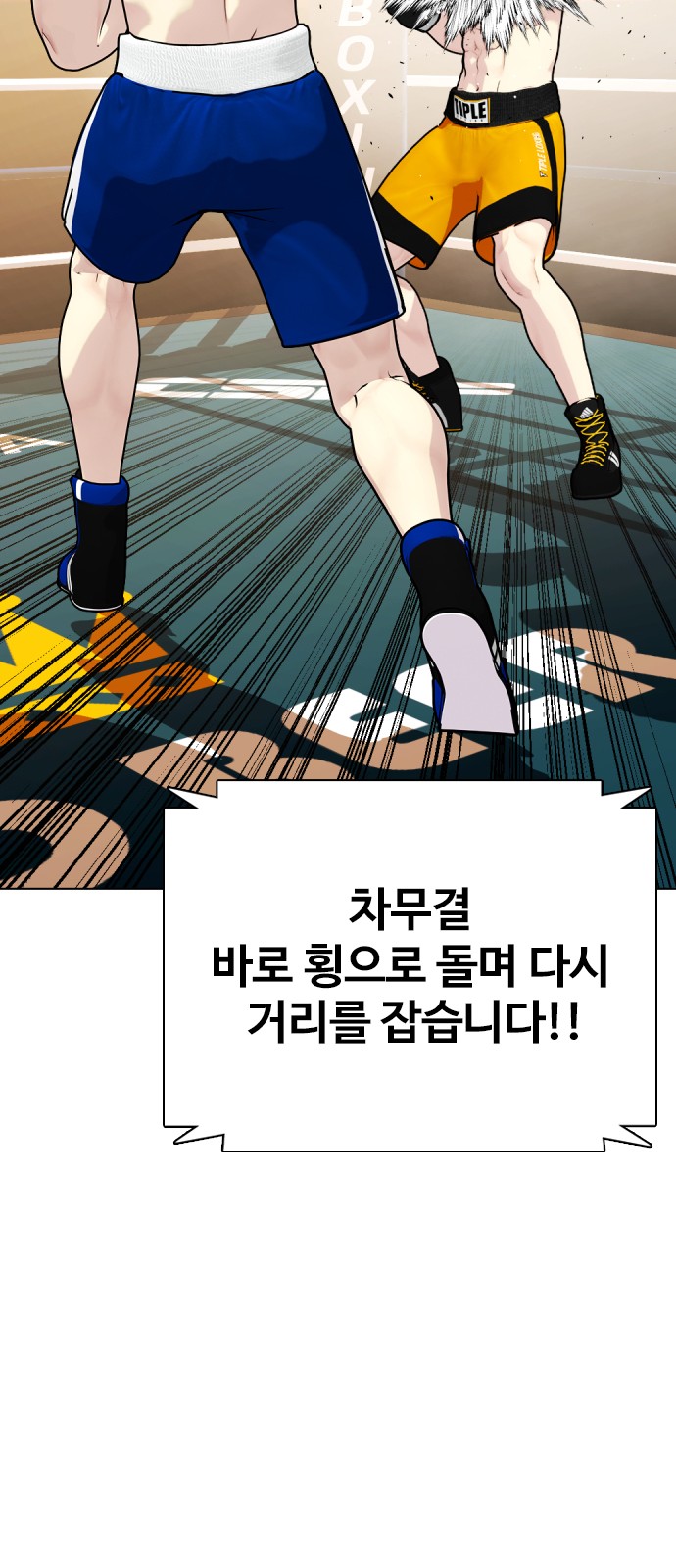 15 페이지