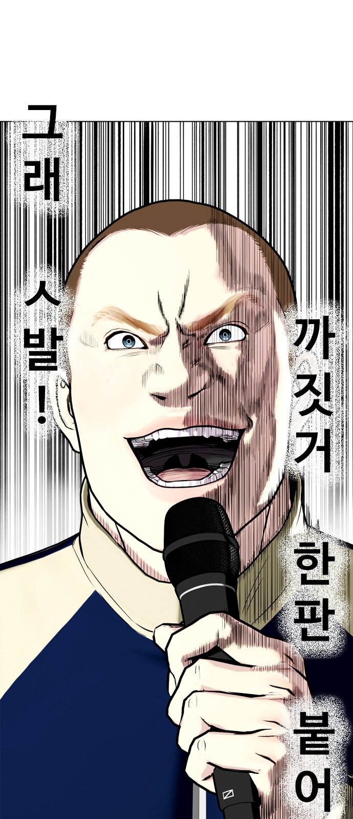 46 페이지