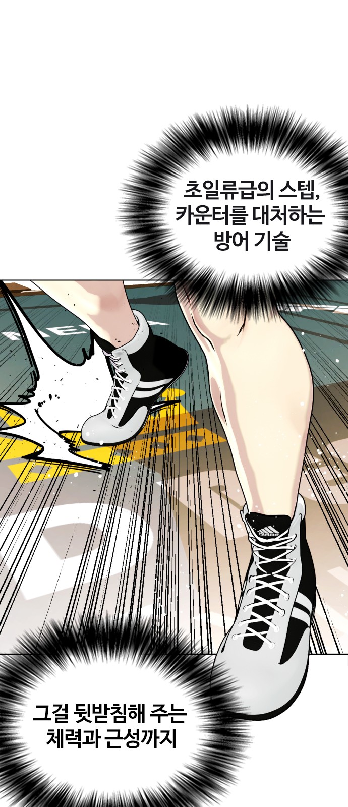 46 페이지