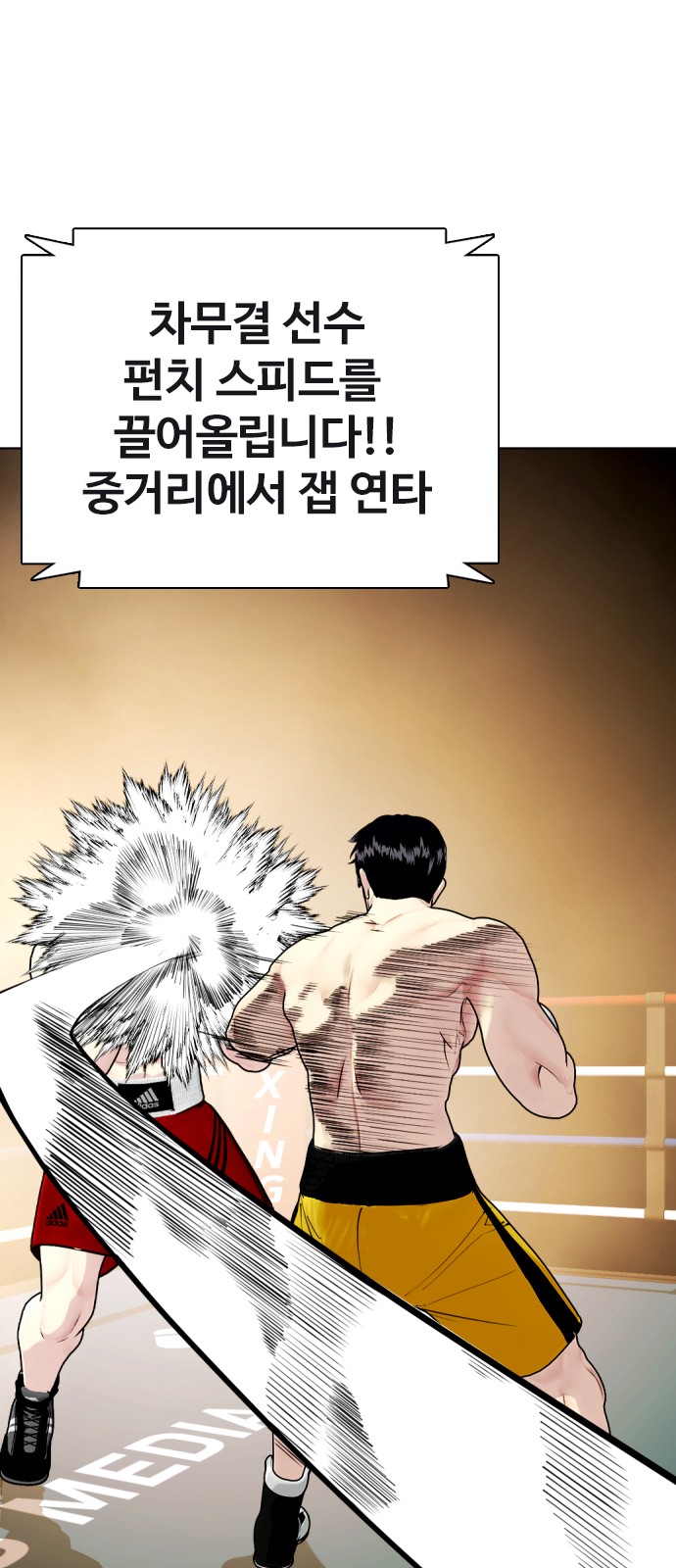 49 페이지