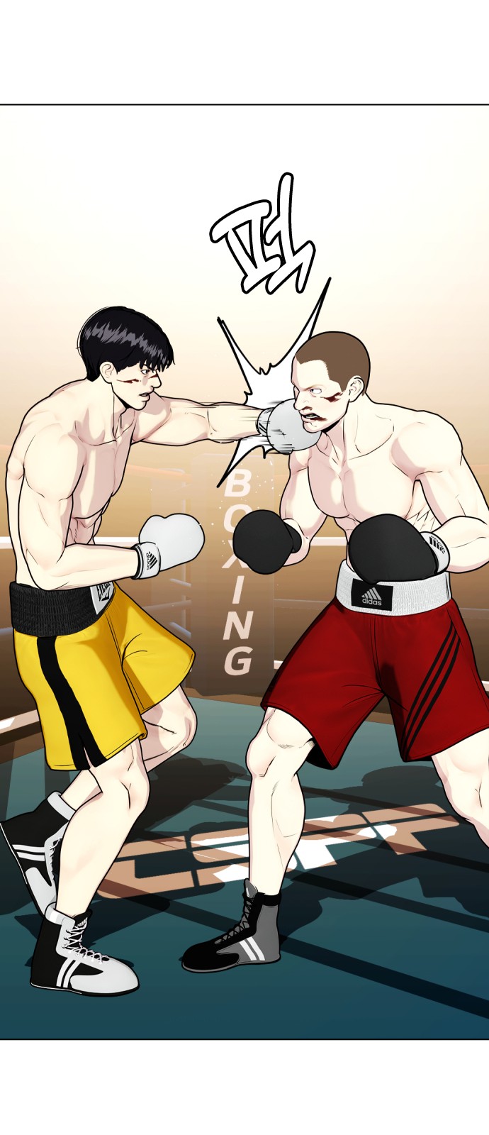 45 페이지