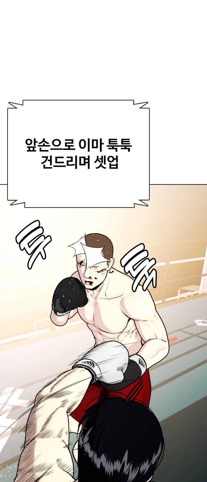 46 페이지