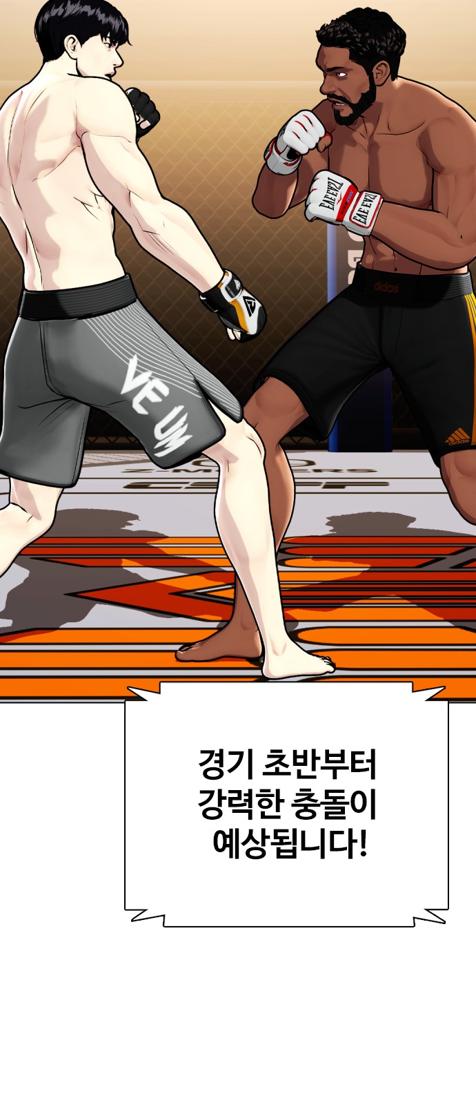 71 페이지