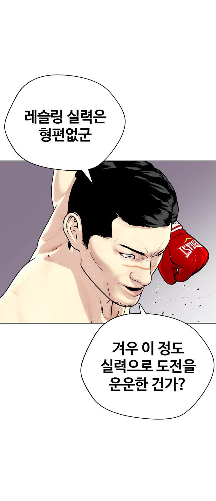 52 페이지