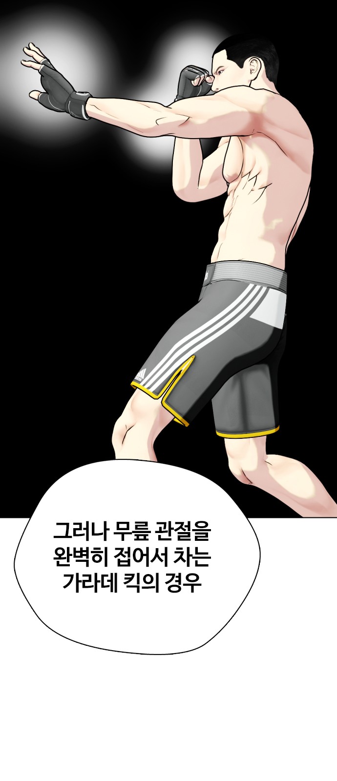116 페이지