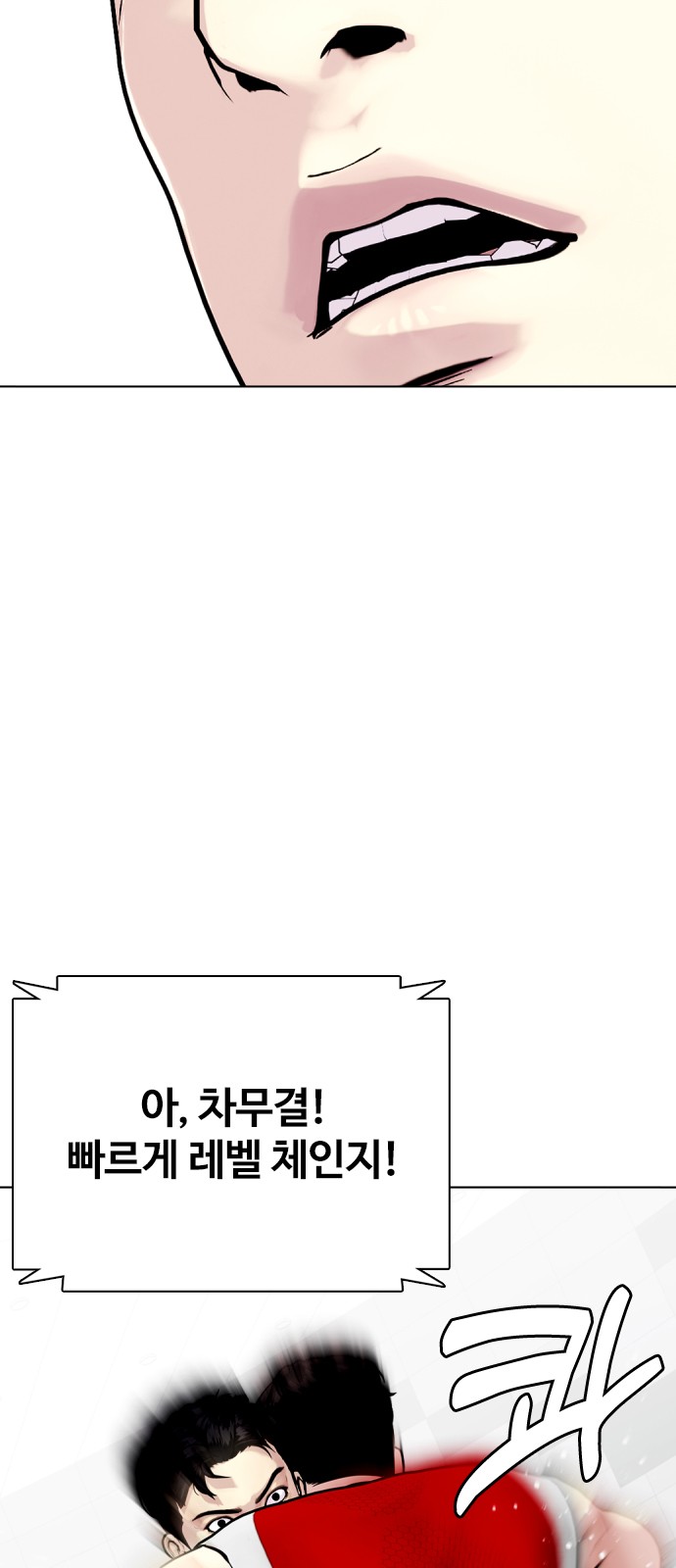 17 페이지
