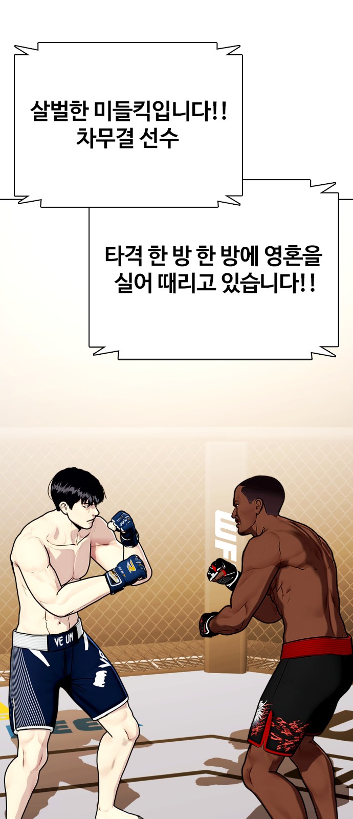 66 페이지