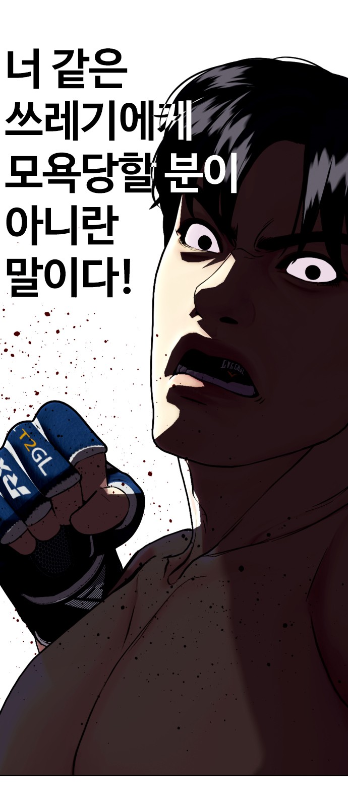 86 페이지