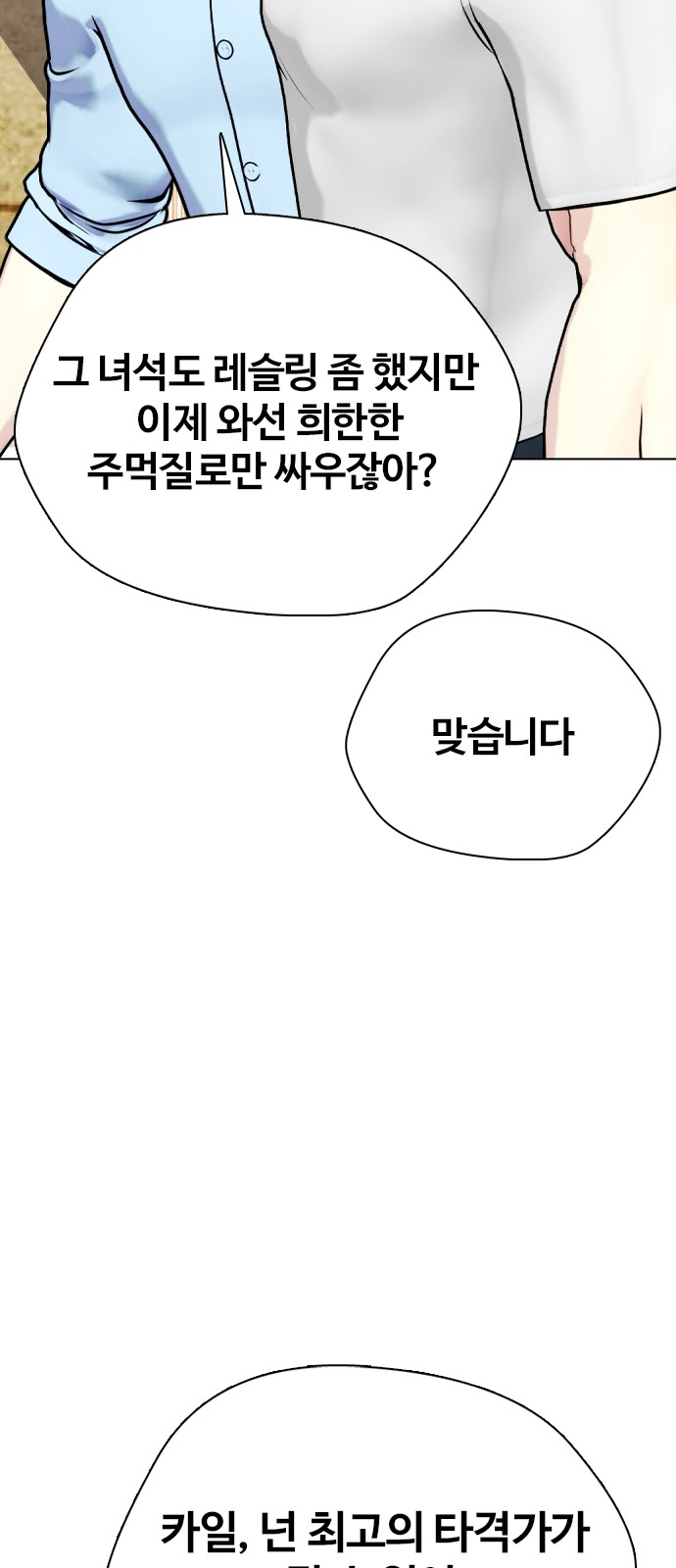 52 페이지