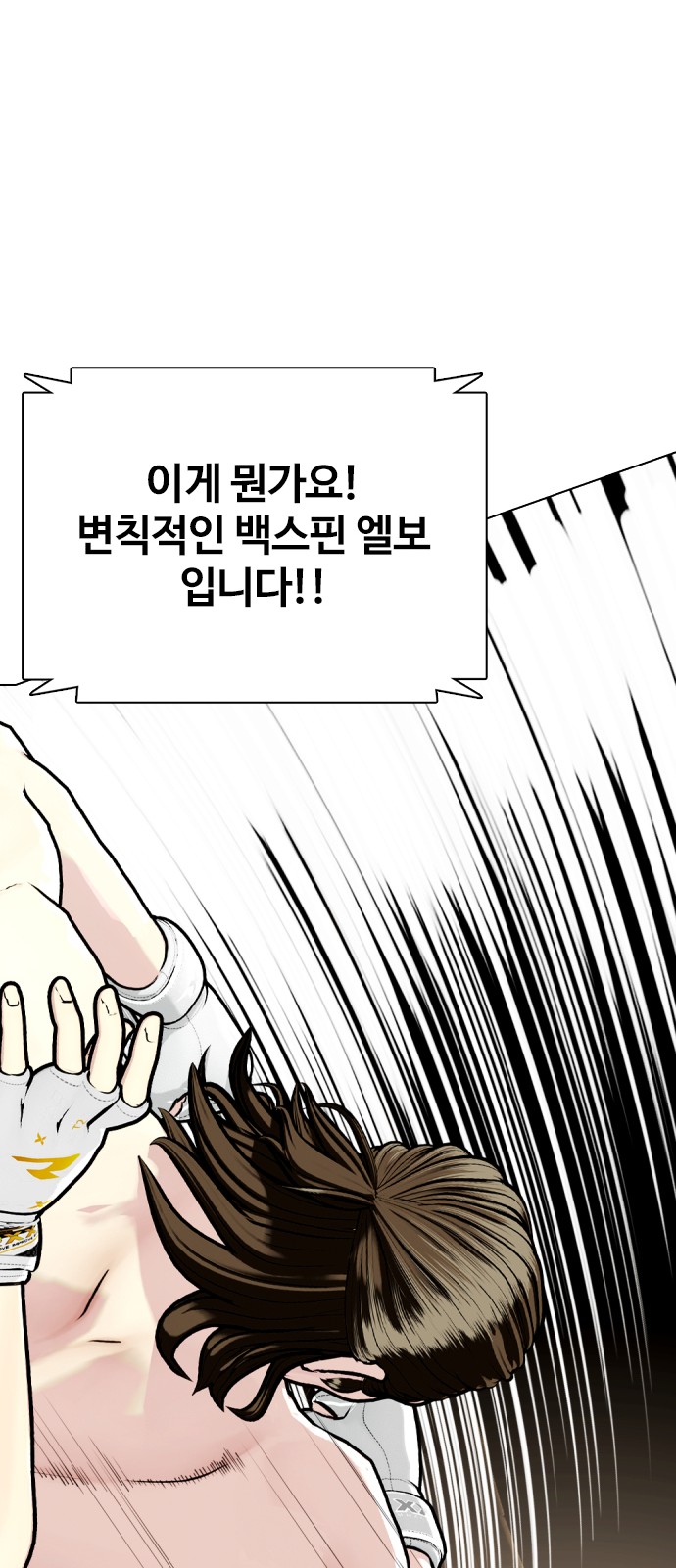 113 페이지