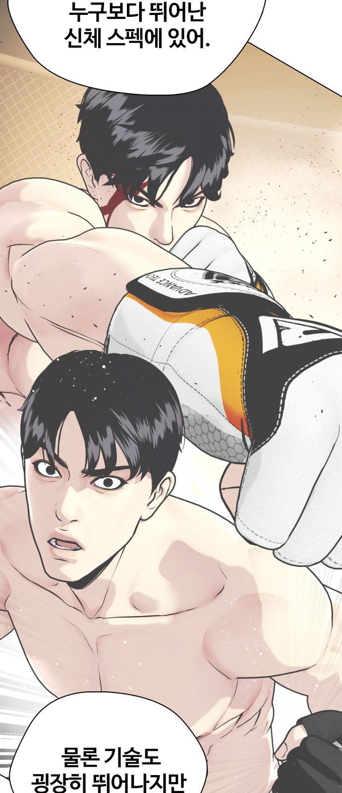 81 페이지
