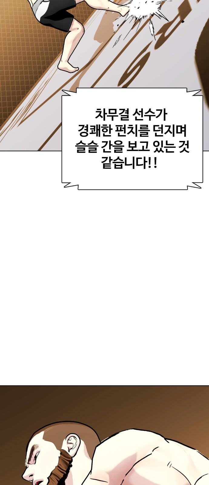 52 페이지