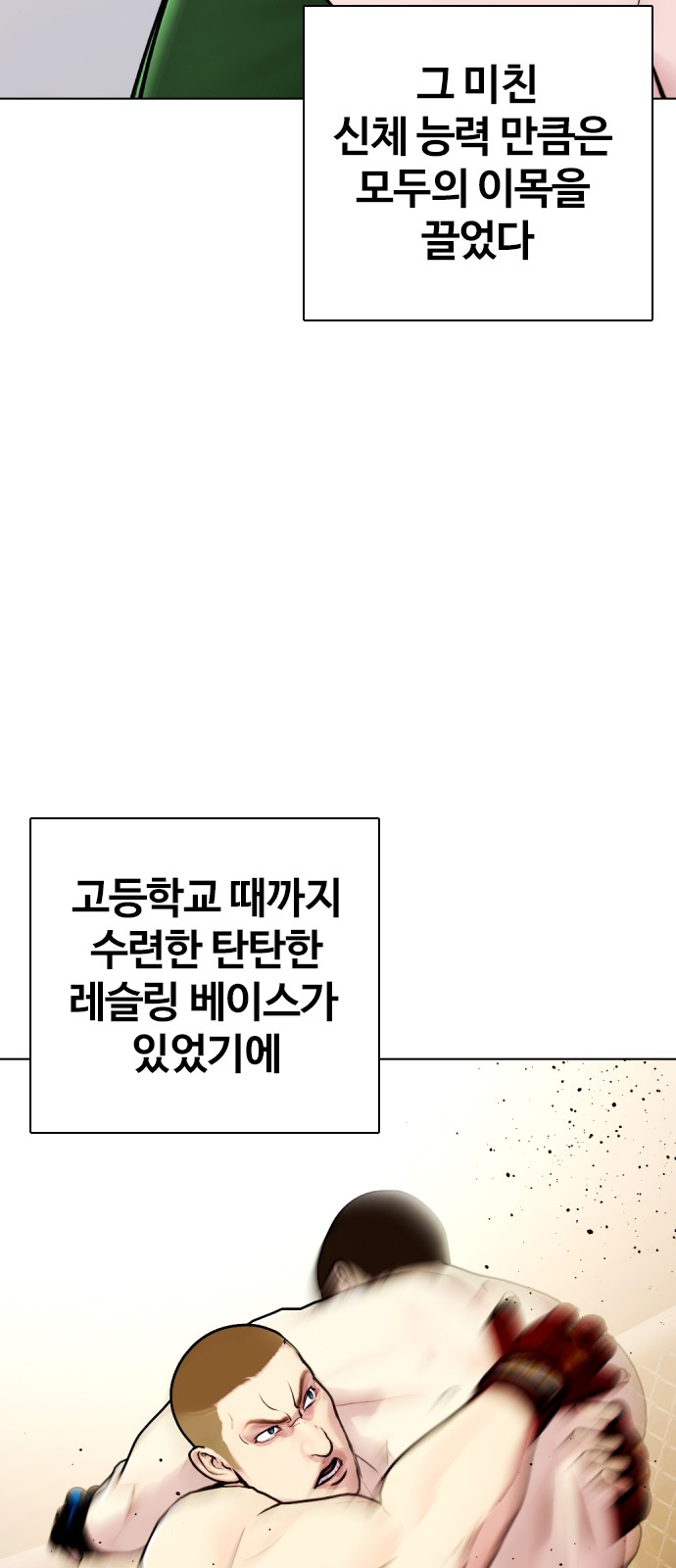 30 페이지
