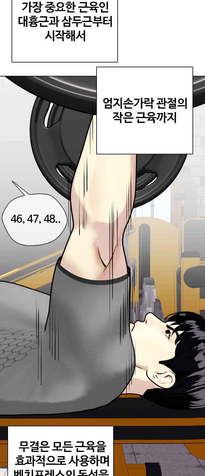 26 페이지