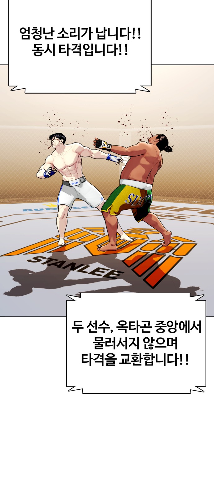 22 페이지