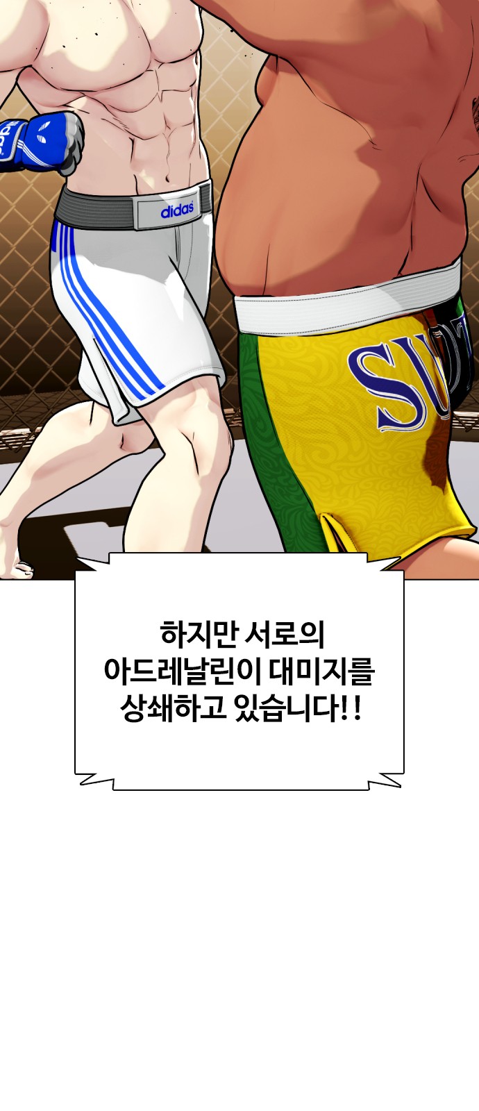 30 페이지