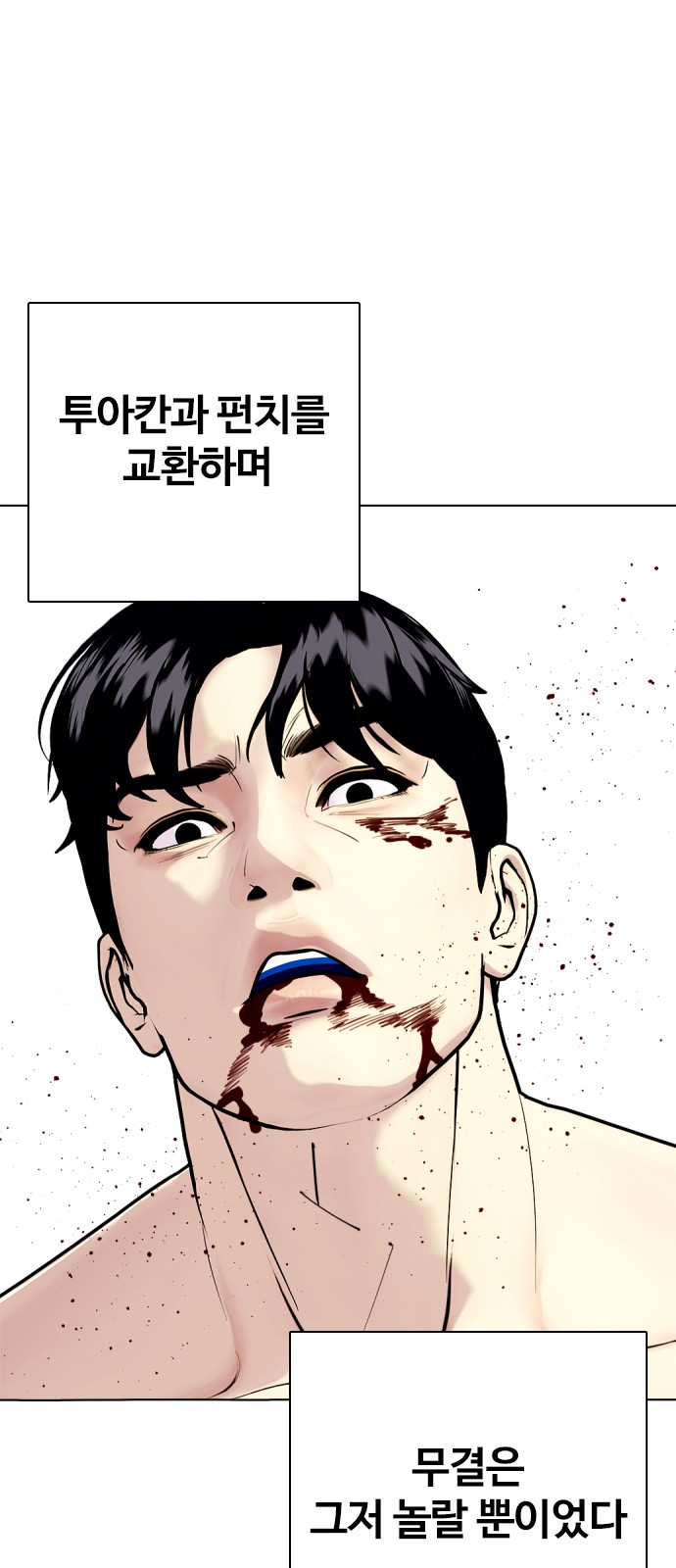 31 페이지