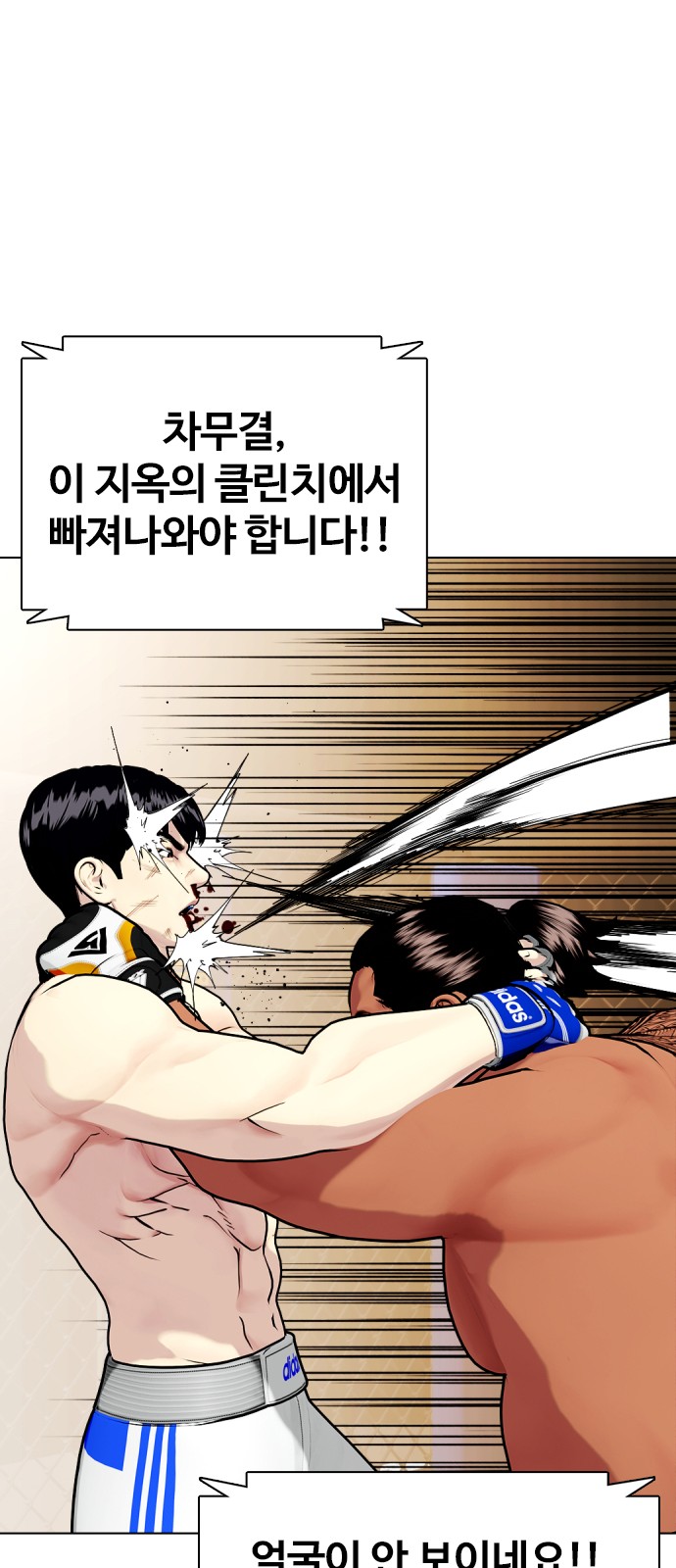 47 페이지