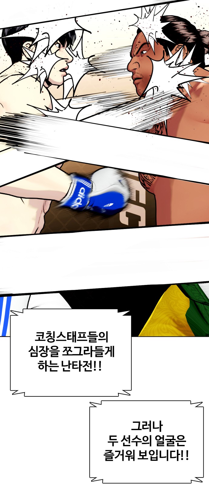 33 페이지