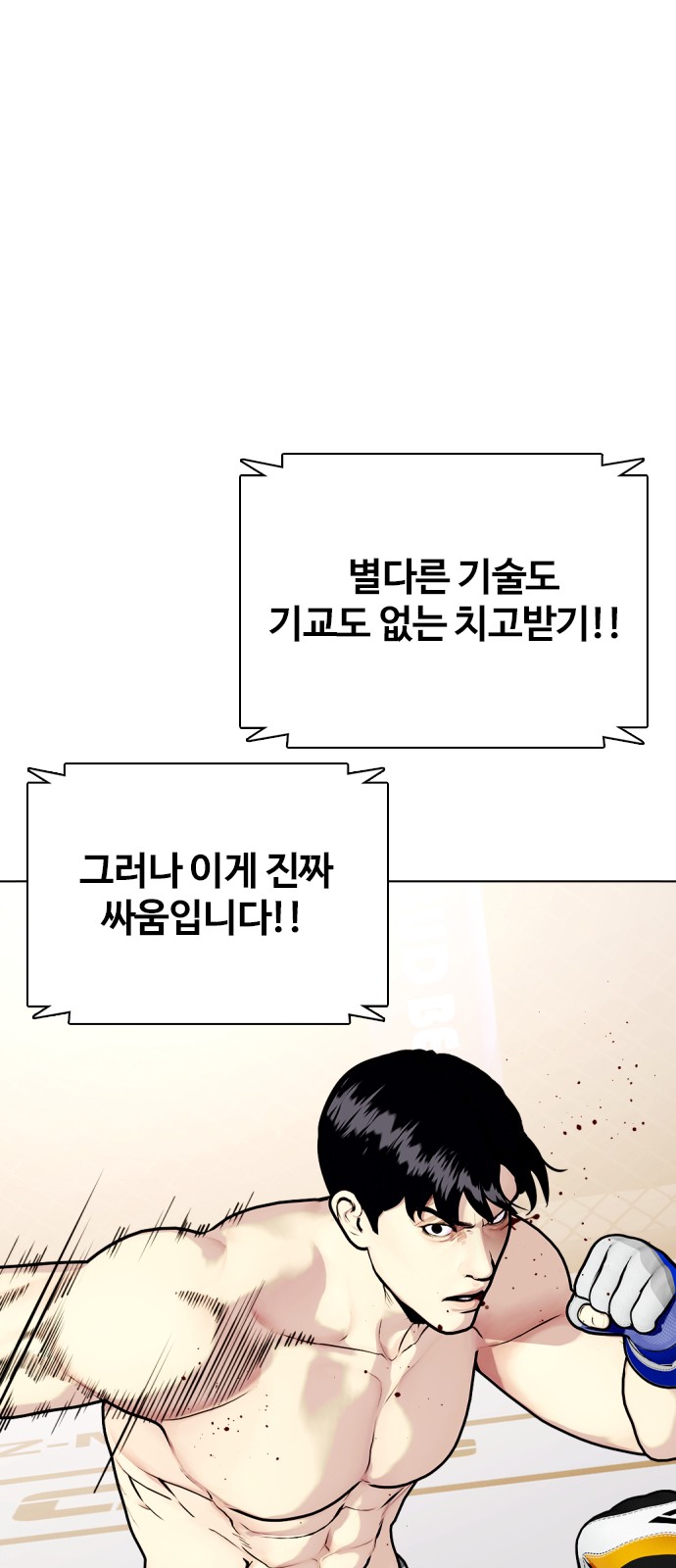 34 페이지