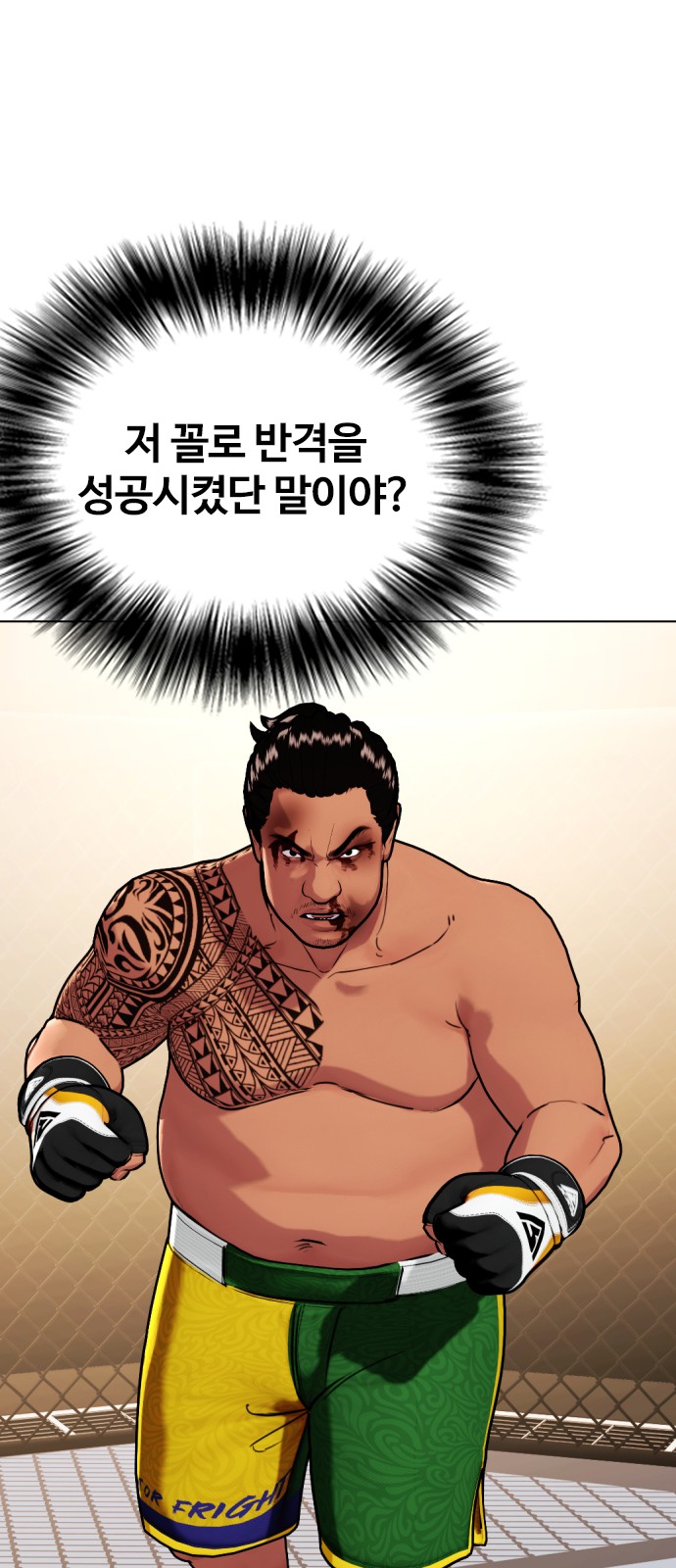 68 페이지
