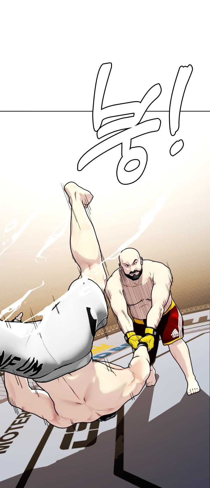 74 페이지