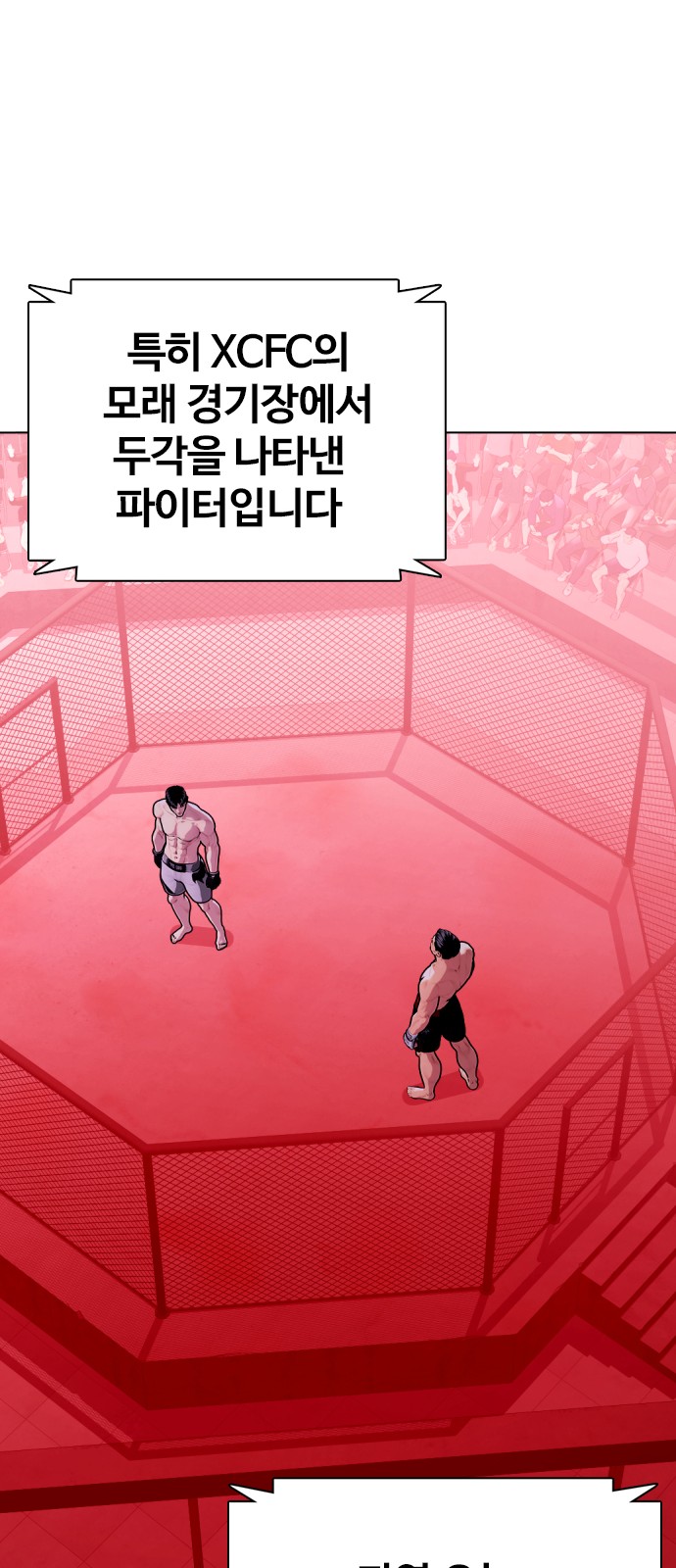 46 페이지