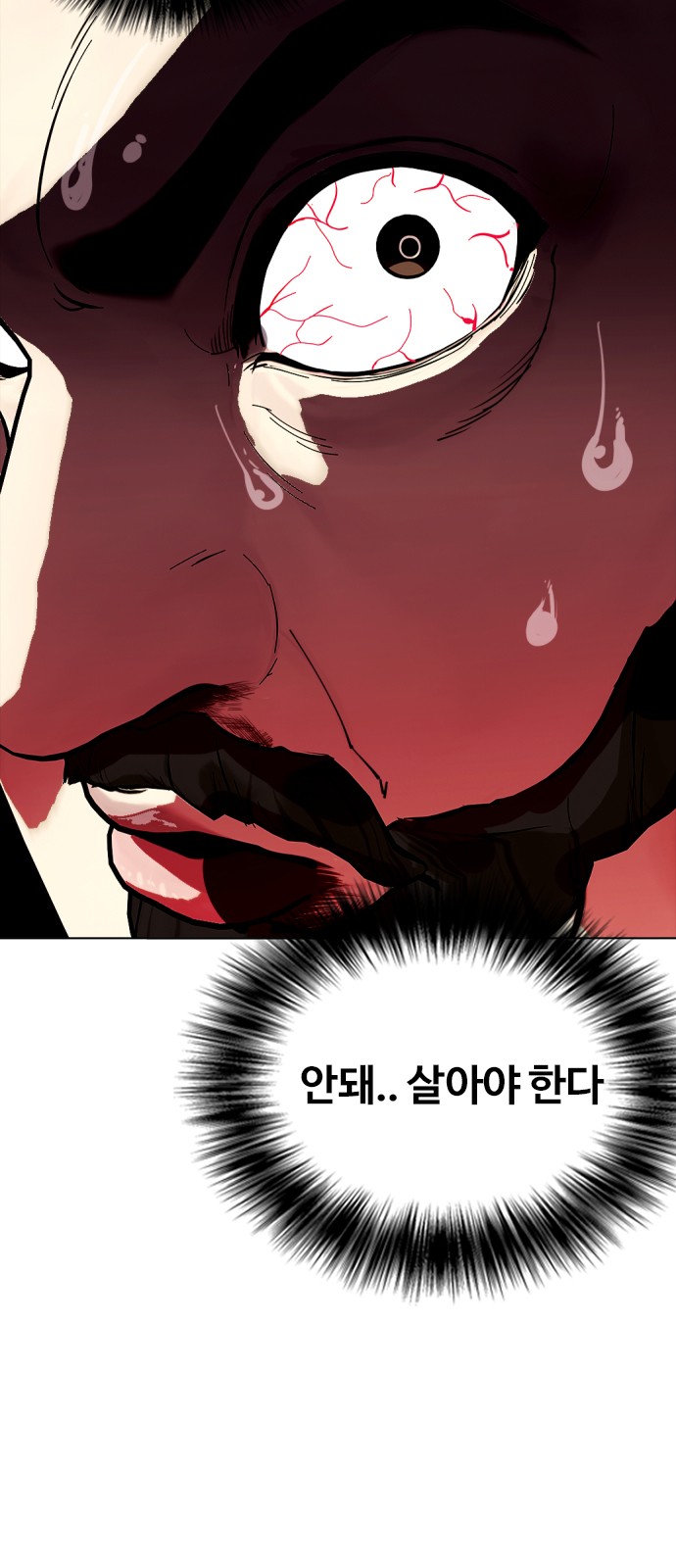 102 페이지