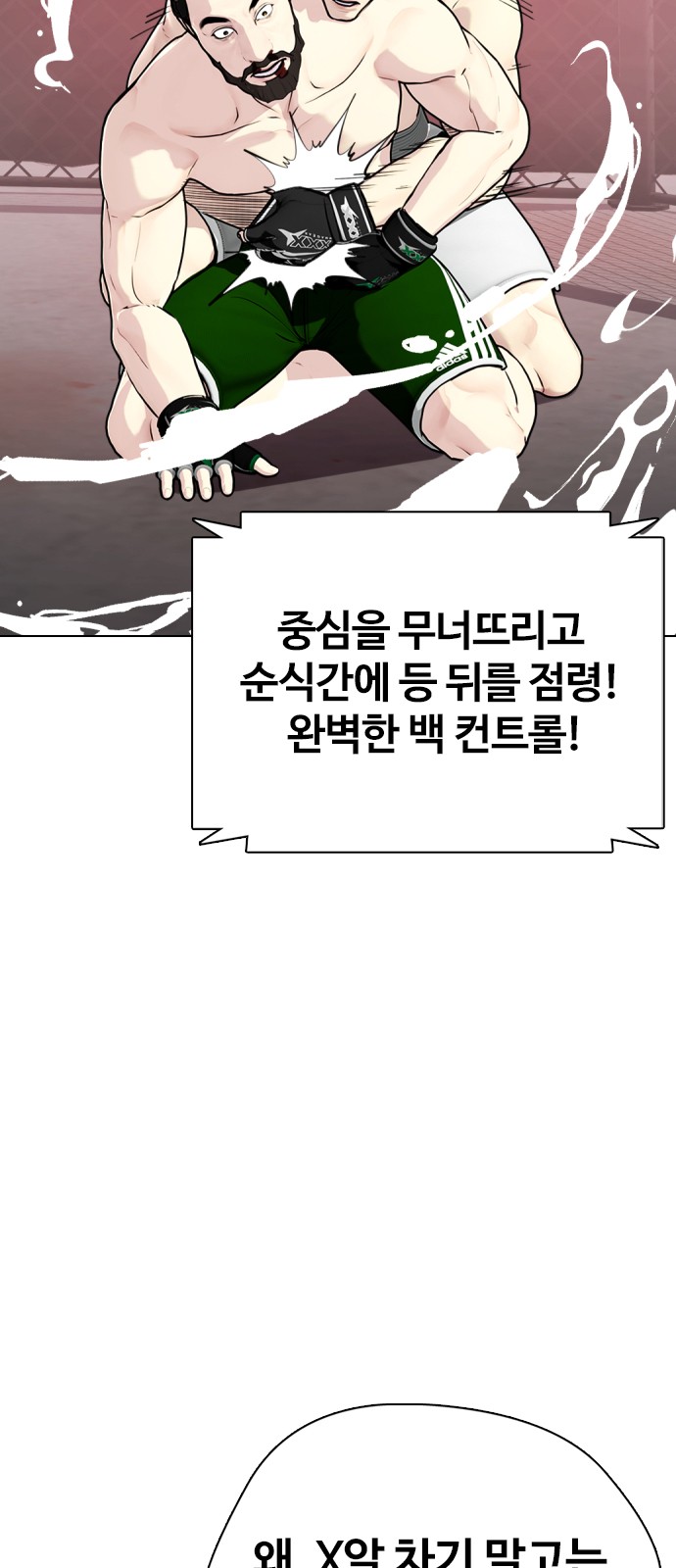 111 페이지