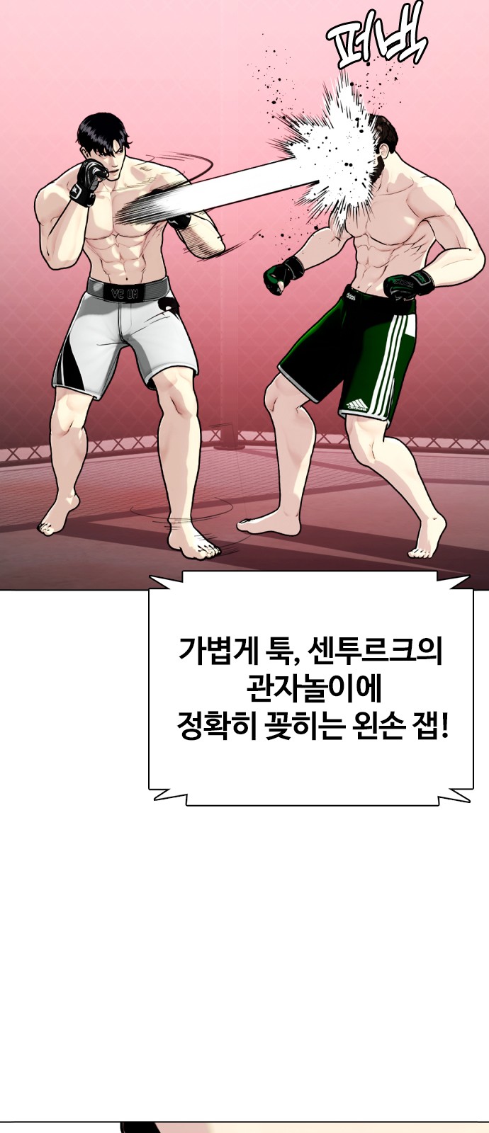 39 페이지