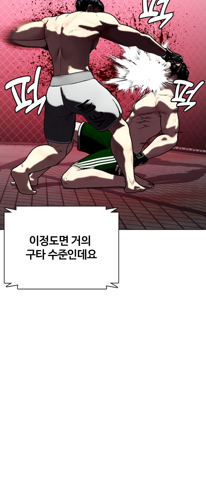 44 페이지