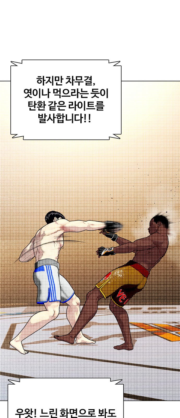 19 페이지