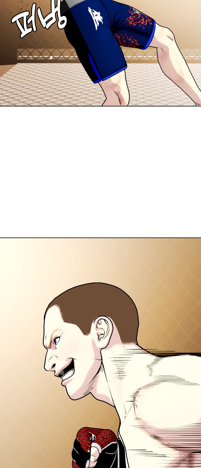 52 페이지