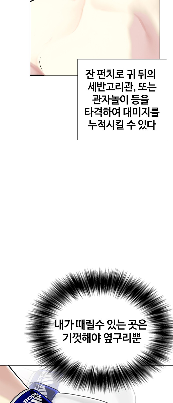 31 페이지
