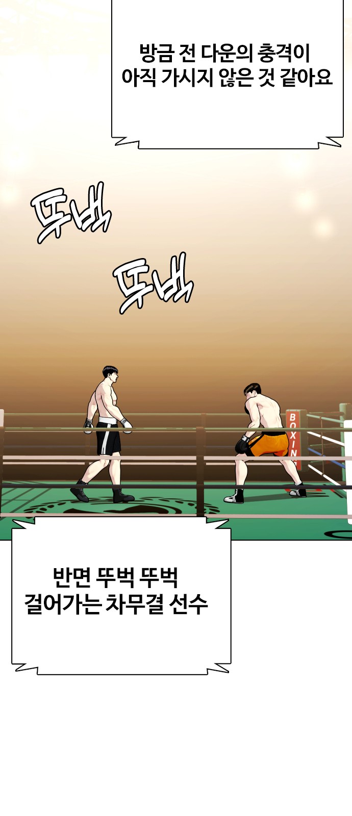 30 페이지