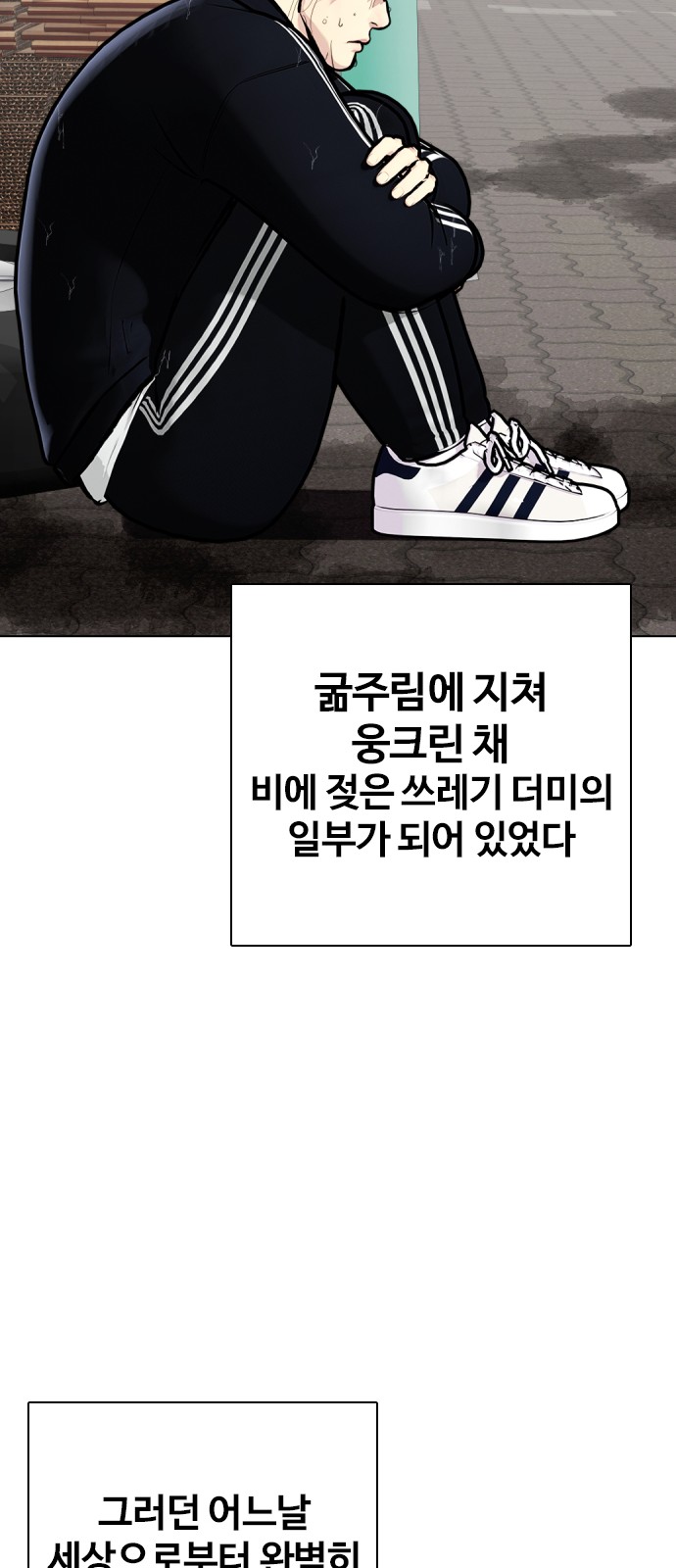 46 페이지