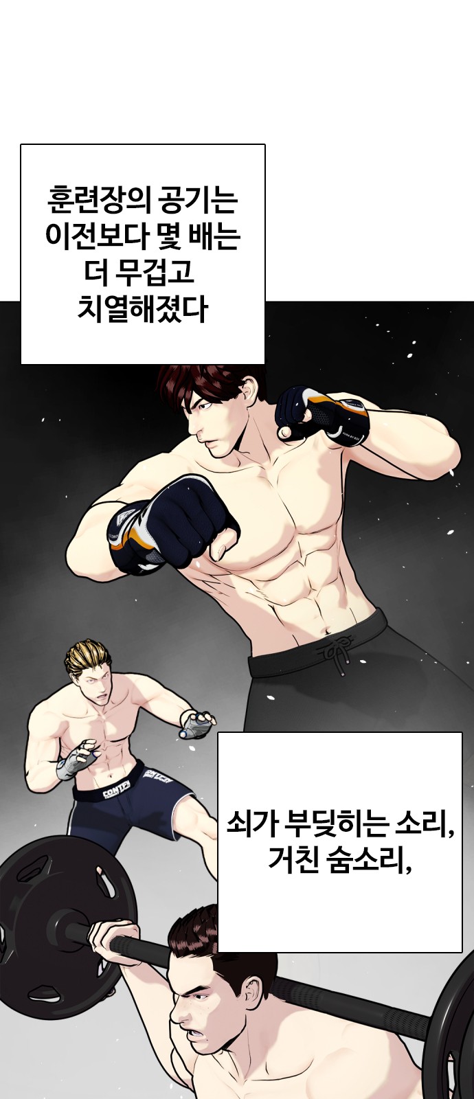 20 페이지