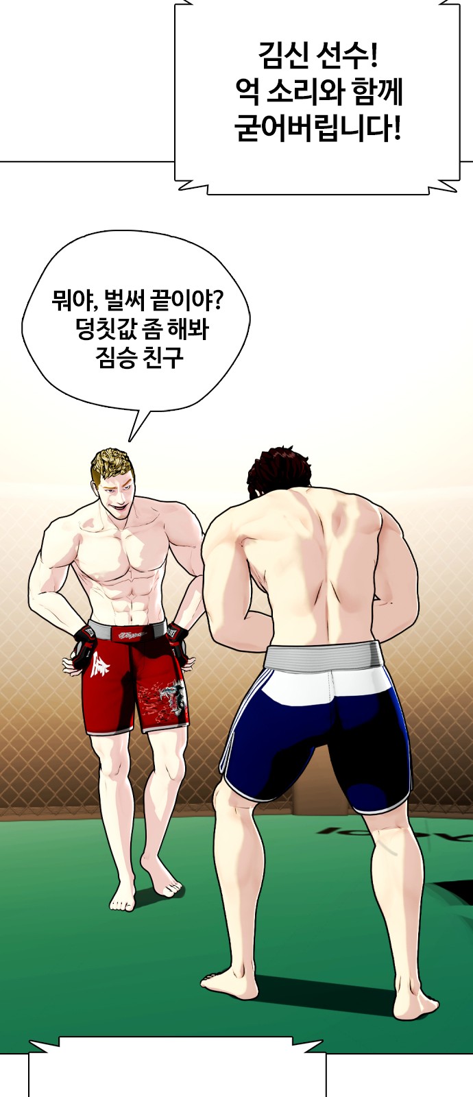 41 페이지