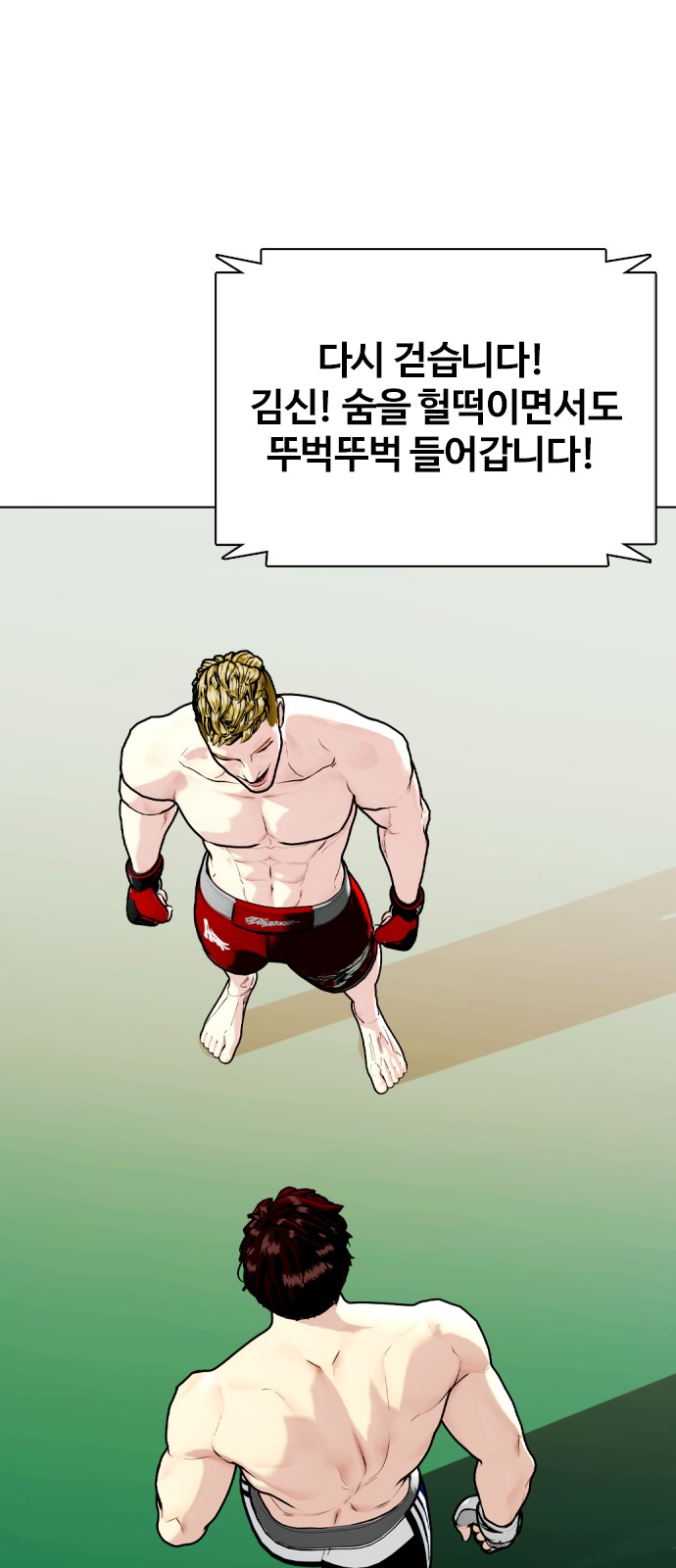 43 페이지