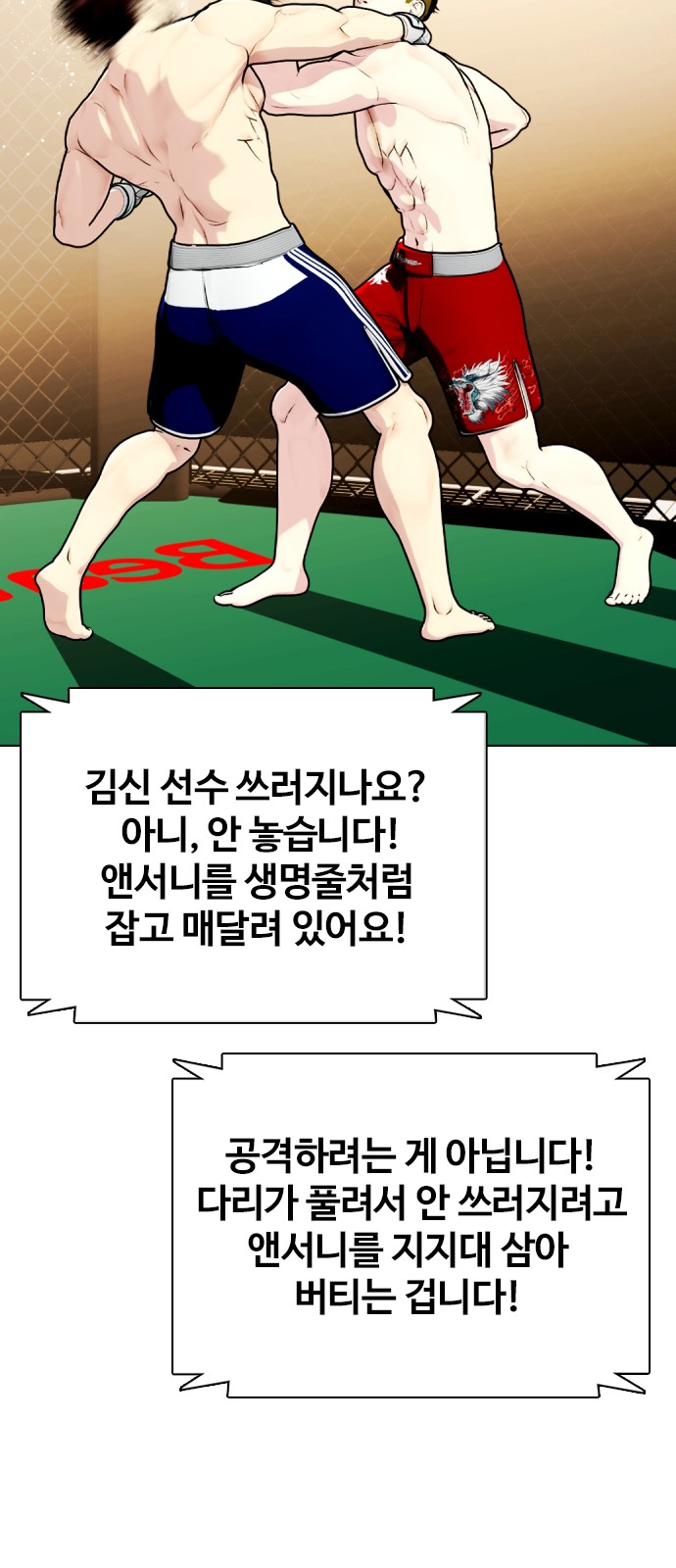 74 페이지