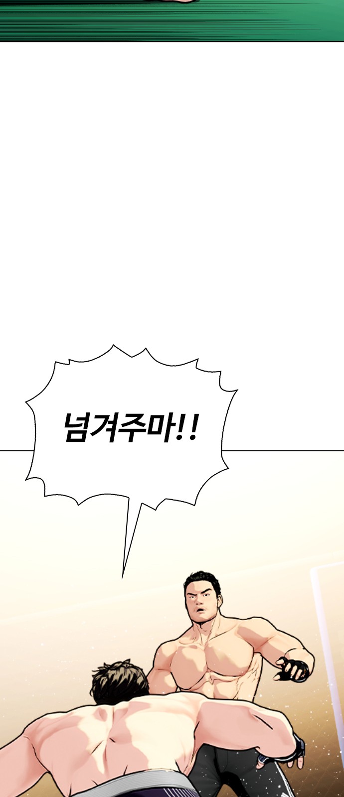 113 페이지