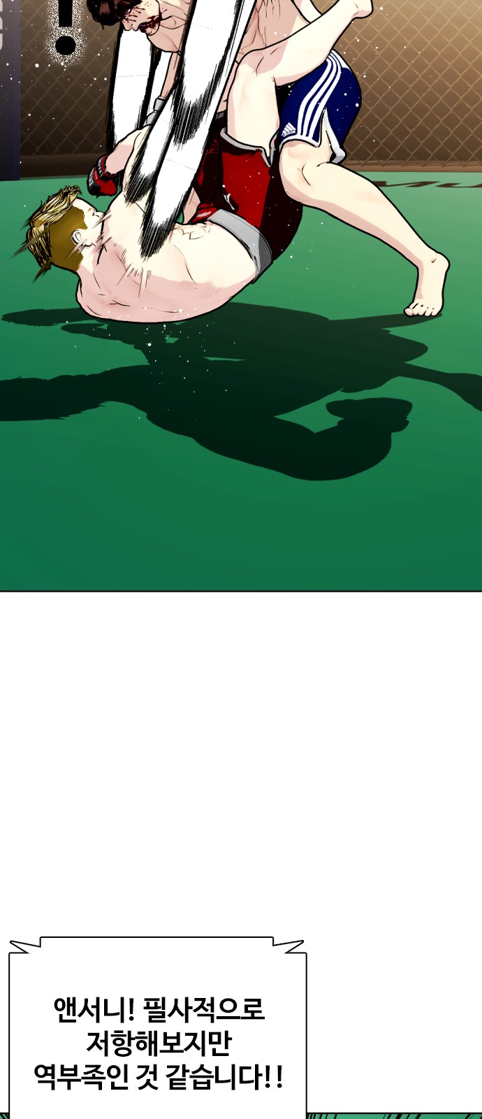 13 페이지