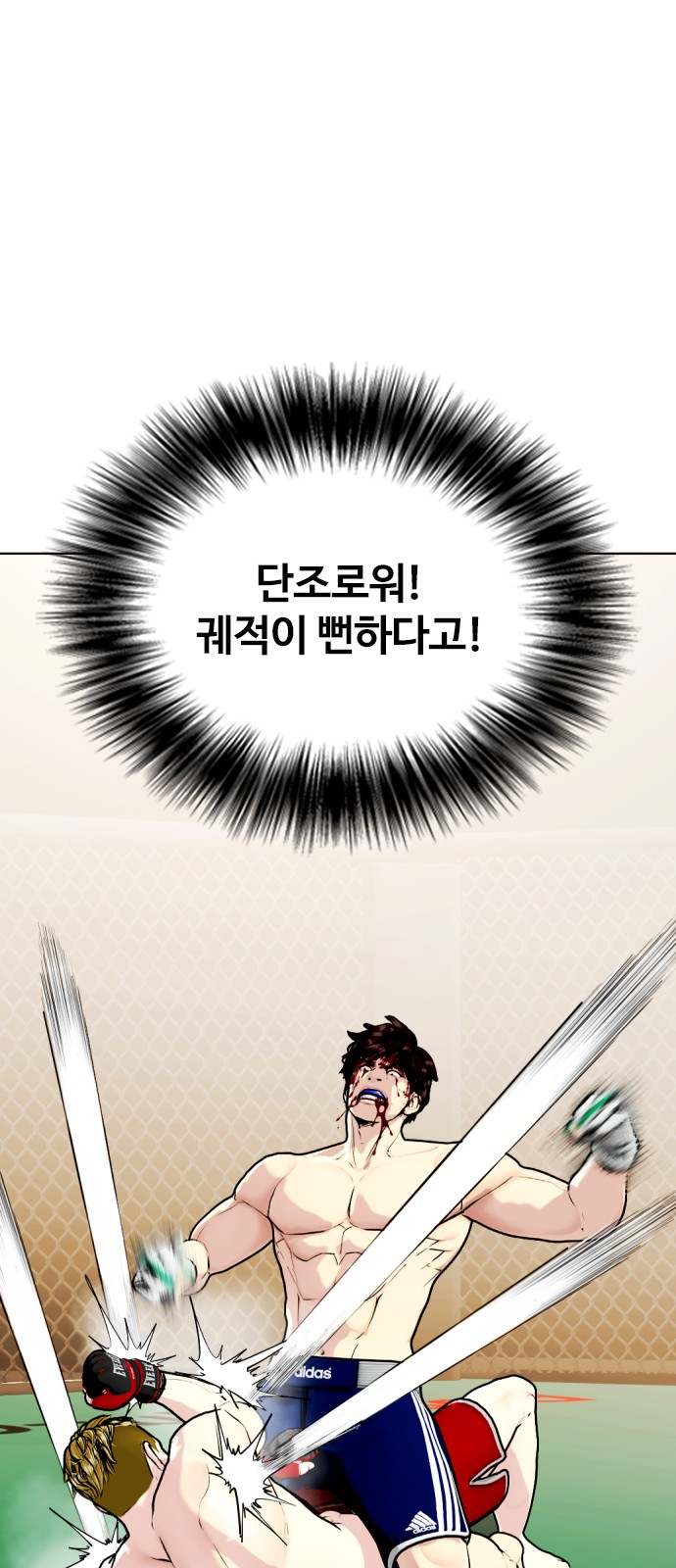 44 페이지