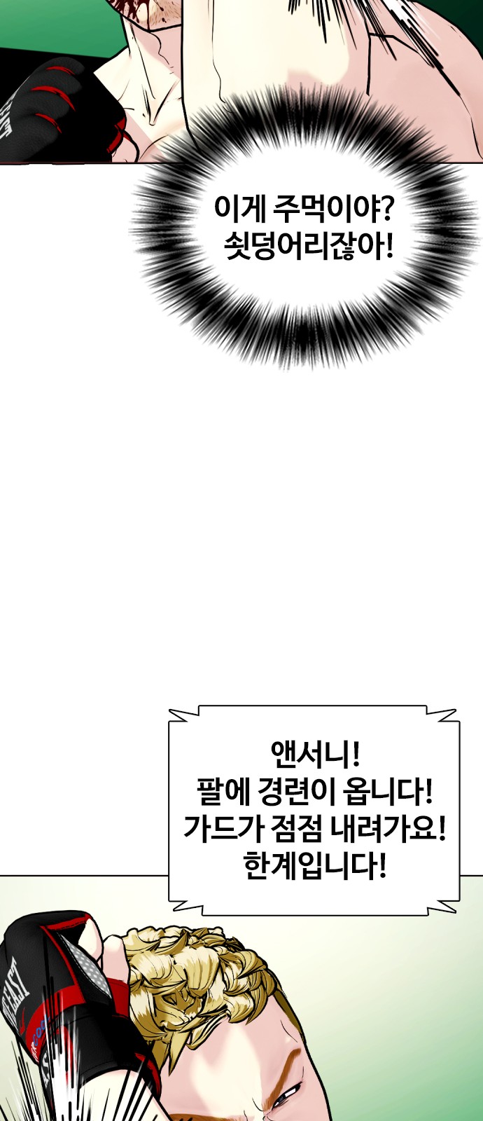 46 페이지