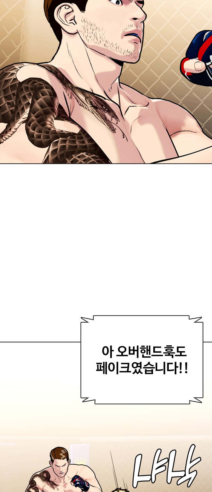51 페이지