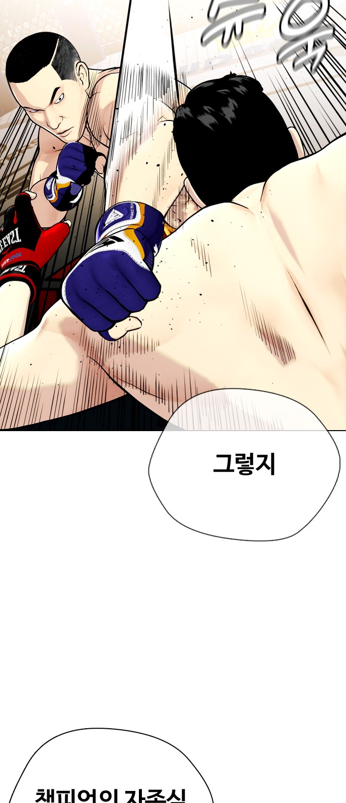 15 페이지